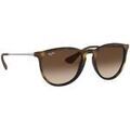 Lunettes sur Grenoble : Lunettes de soleil Ray-ban ERIKA 0RB4171