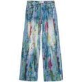 Pantalons sur Grenoble : Jeans Desigual BRUSH 26SWDDX3