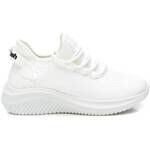 Baskets Refresh 17240201