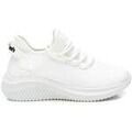 Baskets Refresh 17240201