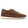 Chaussures Tambi 809527 Marron Randonnée sur Grenoble : Chaussures Tambi 809527 Marron