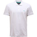 Polos sur Grenoble : Polo Harmont & Blaine -