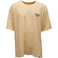 Tee-shirts sur Grenoble : T-shirt Dickies -