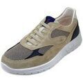 Baskets homme sur Grenoble : Baskets basses Luisetti Basket Homme, Sneakers, Cuir et Textile - 36228