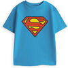 T-shirt enfant Dc Comics Classic Logo T-shirt &agrave; manches courtes Bleu