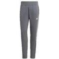 Pantalon adidas Tiro 23 League Grenoble