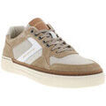 Baskets homme sur Grenoble : Baskets basses Redskins 7186CHPE26