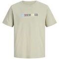 Tee-shirts sur Grenoble : T-shirt Jack & Jones 192959VTPE26