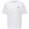 T-shirt Only & Sons 193772VTPE26