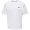 Tee-shirts sur Grenoble : T-shirt Only & Sons 193772VTPE26