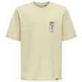 Tee-shirts enfants sur Grenoble : T-shirt enfant Only & Sons 193786VTPE26
