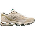 Running sur Grenoble : Chaussures Mizuno Wave Prophecy Ls