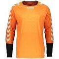 Tee-shirts sur Grenoble : T-shirt hummel Maillot Essential GK Jersey