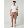 Short Le Temps des Cerises pharvid00wpig261