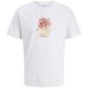 T-shirt enfant Jack & Jones Joralmeria