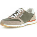 Baskets homme sur Grenoble : Baskets Pius Gabor 1015.10.08