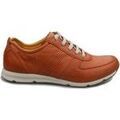 Baskets femme sur Grenoble : Baskets Camel Active 806.70.02
