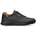 Baskets homme sur Grenoble : Baskets Mephisto Flynn