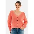 Gilets sur Grenoble : Gilet Only 15279776