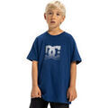 Tee-shirts sur Grenoble : T-shirt DC Shoes DC Star Reflective