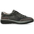 Baskets homme sur Grenoble : Baskets basses Mephisto Sacco