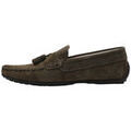 Chaussures de ville homme sur Grenoble : Mocassins Limma NIVIO
