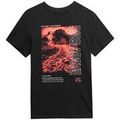 Tee-shirts sur Grenoble : T-shirt 4F M489
