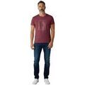 T-shirt Ferre Bartolo