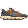 Baskets homme sur Grenoble : Baskets basses Timberland Winsor Trail Low Lace