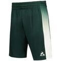 Shorts/Bermuda sur Grenoble : Short Le Coq Sportif Tennis Pro N�2 Vert