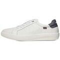 Baskets homme sur Grenoble : Baskets basses CallagHan 65700