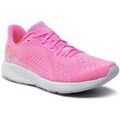 Running sur Grenoble : Chaussures New Balance WTMPOLL2
