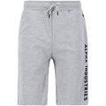 Short Alpha Industries AI Sweat Short - grey heather Grenoble