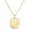 Collier Moments-Precieux.com Collier astro medaille gravee Lion, plaque or Dor&eacute; Grenoble