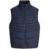 Veste Premium By Jack & Jones 185633VTAH25