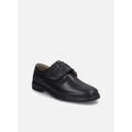 Ville basse Josef Seibel Alastair 02
