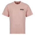 Tee-shirts sur Grenoble : T-shirt Dickies BUCHTELL SS TEE BRIDAL ROSE