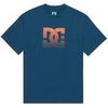 T-shirt DC Shoes DC Star Oxidized