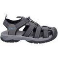 Audio sur Grenoble : Chaussures Cmp -