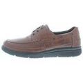 Baskets Solidus Hardy K