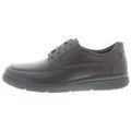 Baskets Solidus Hardy H