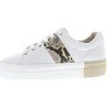 Baskets femme sur Grenoble : Baskets Roberto D Angelo Evora
