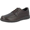 Baskets Solidus Hardy
