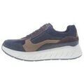 Baskets basses Solidus Ken