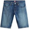 Short Tommy Hilfiger DM0DM22980 Grenoble