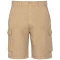 Shorts/Bermuda sur Grenoble : Short Schott 193989VTPE26