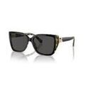 Lunettes sur Grenoble : Lunettes de soleil MICHAEL Michael Kors ACADIA 0MK2199