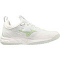 Running sur Grenoble : Chaussures Mizuno Wave Luminous 2