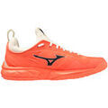 Running sur Grenoble : Chaussures Mizuno Wave Luminous 2