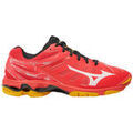 Running sur Grenoble : Chaussures Mizuno Wave Voltage